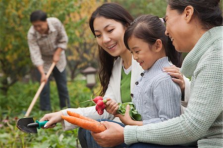 simsearch:6116-07236096,k - Happy family harvesting vegetables in garden Stock Photo - Premium Royalty-Free, Code: 6116-07086005