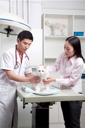 simsearch:6116-07086643,k - Woman with pet cat in veterinarian's office Stock Photo - Premium Royalty-Free, Code: 6116-07086645