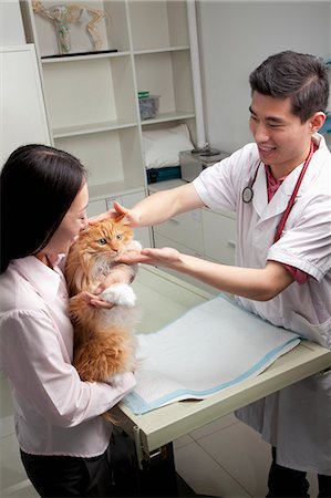 simsearch:614-03455512,k - Woman with pet cat in veterinarian's office Photographie de stock - Premium Libres de Droits, Code: 6116-07086648