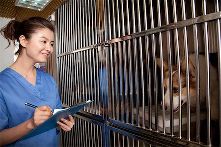 Veterinarian filling out medical chart Stock Photo - Premium Royalty-Free, Code: 6116-07086663