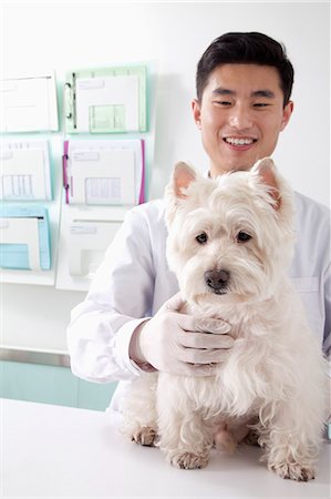 Veterinarian with dog in office Foto de stock - Royalty Free Premium, Número: 6116-07086675