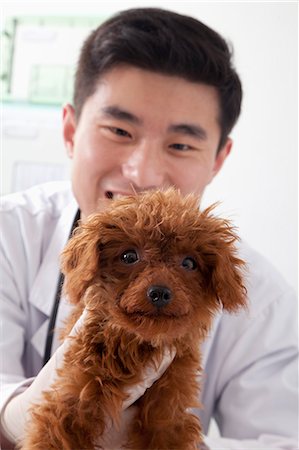 stéthoscope - Veterinarian holding dog in office Photographie de stock - Premium Libres de Droits, Code: 6116-07086678