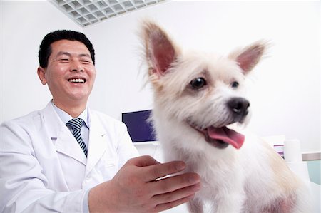 dog look up person - Dog in veterinarian's office Stock Photo - Premium Royalty-Free, Code: 6116-07086636