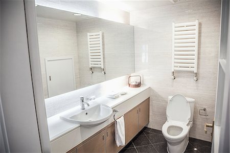 simsearch:6108-06904344,k - Modern, clean, bathroom with toilet and sink. Photographie de stock - Premium Libres de Droits, Code: 6116-07235705