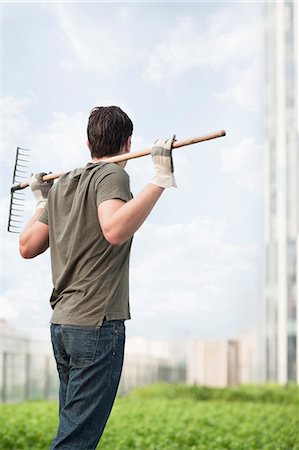 simsearch:649-06829472,k - Young man holding a rake on his shoulders and looking at green plants in a roof top garden in the city Stockbilder - Premium RF Lizenzfrei, Bildnummer: 6116-07236476