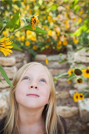 A Child, A Young Girl Looking Up At A Sunflower In A Flower Garden. Foto de stock - Sin royalties Premium, Código: 6118-07121889