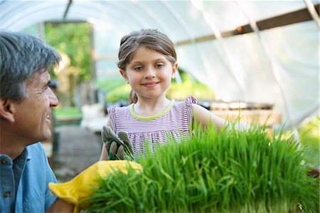 On The Farm. A Glasshouse. Trays Of Fresh Green Herbs. An Adult And A Child Tending To The Plants. A Man And A Young Girl. Stock Photo - Premium Royalty-Free, Code: 6118-07121838
