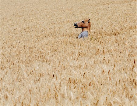 sentido único - Wheat Fields In Washington. A Person Wearing A Horse Head Animal Mask Emerging Above The Ripe Corn. Foto de stock - Sin royalties Premium, Código: 6118-07122121