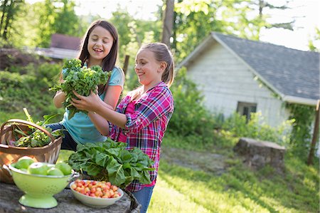 family on the farm - Organic Farm. Summer Party. Two Young Girls Preparing Salads. Stock Photo - Premium Royalty-Free, Code: 6118-07122130