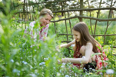 simsearch:614-06974033,k - A Mother And Daughter Together In A Plant Enclosure With A Homemade Fence. Picking Flowers And Plants. Green Leafy Foliage. Stock Photo - Premium Royalty-Free, Code: 6118-07122237