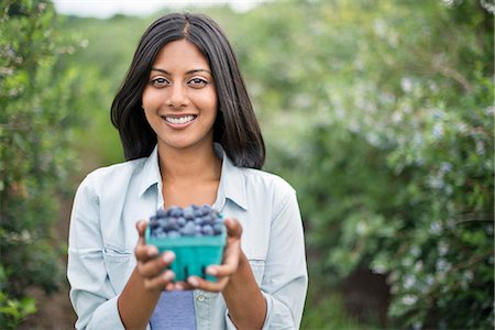 farmhand (female) - Organic Farming. A woman holding a punnet of fresh picked organic blueberries, Cyanococcus. Stock Photo - Premium Royalty-Free, Code: 6118-07203042
