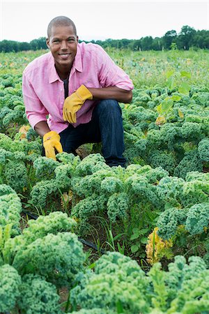 simsearch:6118-07354133,k - Rows of curly green vegetable plants growing on an organic farm. A man inspecting the crop. Foto de stock - Sin royalties Premium, Código: 6118-07203058