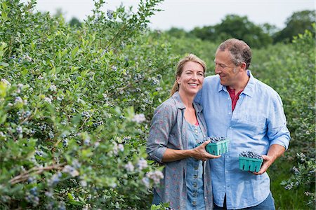 frutas biológicas - An organic fruit farm. A mature couple picking the berry fruits from the bushes. Foto de stock - Sin royalties Premium, Código: 6118-07203097