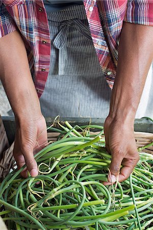 ferme biologique - Organic Farming. A man packing green beans in a crate. Photographie de stock - Premium Libres de Droits, Code: 6118-07203008