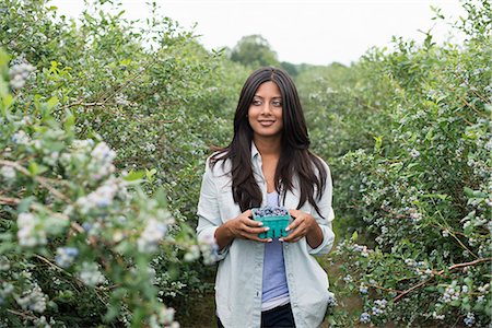 simsearch:6118-07203028,k - Organic fruit orchard. A woman picked fresh blueberries, Cyanococcus. Photographie de stock - Premium Libres de Droits, Code: 6118-07203039