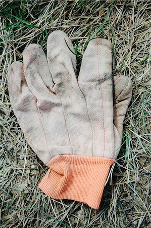 simsearch:614-08872791,k - A work glove lying on the grass in a field. Fotografie stock - Premium Royalty-Free, Codice: 6118-07203225