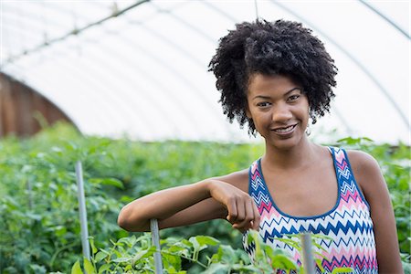 A woman working in the glasshouse, tending plants on a greenhouse bench. Foto de stock - Sin royalties Premium, Código: 6118-07203357