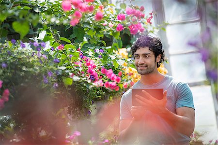 A young man working in a plant nursery, surrounded by flowering plants. Photographie de stock - Premium Libres de Droits, Code: 6118-07203381