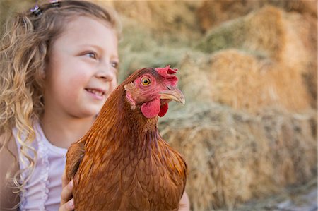 A young girl holding a chicken in a henhouse. Foto de stock - Royalty Free Premium, Número: 6118-07203311