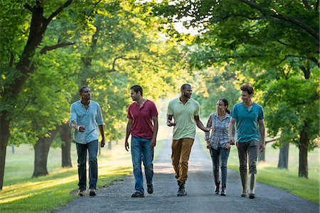 simsearch:6118-07353698,k - Five people walking down a tree lined avenue in the countryside. Foto de stock - Royalty Free Premium, Número: 6118-07203569