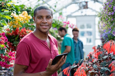 A commercial greenhouse in a plant nursery growing organic flowers. Man working, using a digital tablet. Stock Photo - Premium Royalty-Free, Code: 6118-07203529