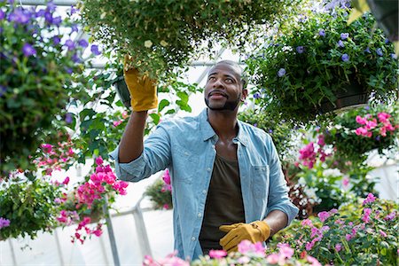 simsearch:6118-07354167,k - A commercial greenhouse in a plant nursery growing organic flowers. Man working, checking and tending flowers. Foto de stock - Sin royalties Premium, Código: 6118-07203531