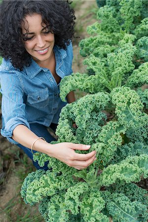 simsearch:6115-06967186,k - An organic vegetable farm. A woman working among the crisp curly kale crop. Foto de stock - Sin royalties Premium, Código: 6118-07203698