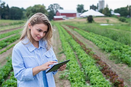 An organic farm growing vegetables. A woman in the fields inspecting the lettuce crop, using a digital tablet. Stock Photo - Premium Royalty-Free, Code: 6118-07203702