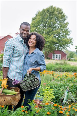 simsearch:6118-07354451,k - An organic vegetable garden on a farm. A couple carrying baskets of freshly harvested corn on the cob and green leaf vegetables. Stock Photo - Premium Royalty-Free, Code: 6118-07203710