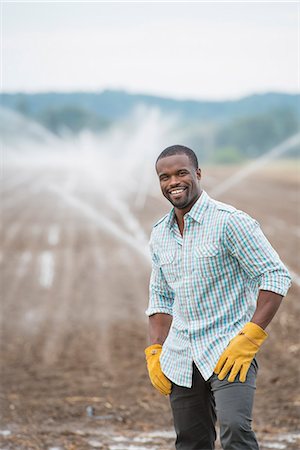 simsearch:6118-07353041,k - An organic vegetable farm, with water sprinklers irrigating the fields. A man in working clothes. Photographie de stock - Premium Libres de Droits, Code: 6118-07203716