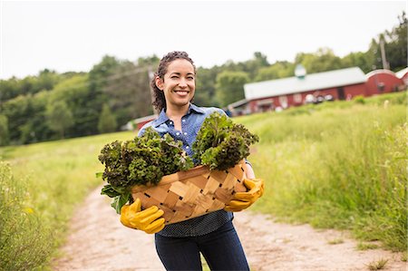 panier - Working on an organic farm. A woman holding a basket full of fresh green vegetables, freshly picked. Photographie de stock - Premium Libres de Droits, Code: 6118-07203869