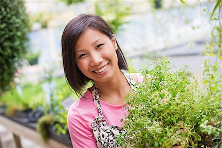 person relaxing in a greenhouse - Working on an organic farm. A woman tending young plants in a glass house. Stock Photo - Premium Royalty-Free, Code: 6118-07203886