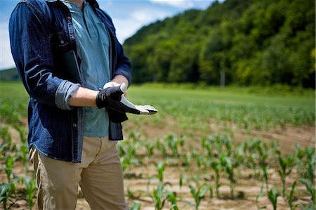 photo of a maize farm in usa - A farmer working in his fields in New York State, USA. Stock Photo - Premium Royalty-Free, Code: 6118-07203904