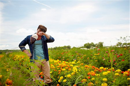 A farmer working in his fields in New York State. A yellow and orange organically grown flower crop. Photographie de stock - Premium Libres de Droits, Code: 6118-07203912