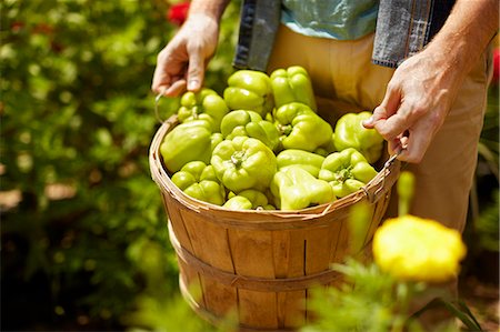 A man carrying a full basket of green bell peppers. Photographie de stock - Premium Libres de Droits, Code: 6118-07203917