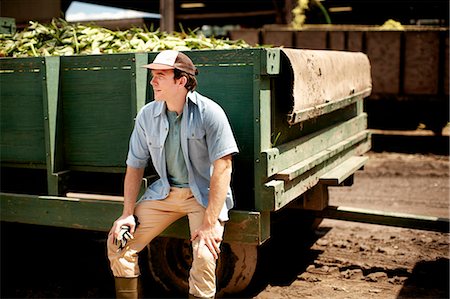 A trailer of harvested corn cobs, corn on the cob. Organic food ready for distribution. Farmer sitting on the trailer wheel resting. Photographie de stock - Premium Libres de Droits, Code: 6118-07203922