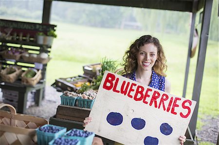 frutas biológicas - An organic fruit and vegetable farm. A person carrying a blueberries sign. Foto de stock - Sin royalties Premium, Código: 6118-07235159