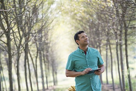 A man standing in an avenue of trees, holding a digital tablet. Stock Photo - Premium Royalty-Free, Code: 6118-07235103