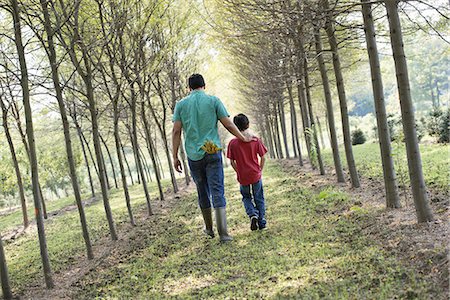 simsearch:6118-08827479,k - A man and a young boy walking down an avenue of trees. Stockbilder - Premium RF Lizenzfrei, Bildnummer: 6118-07235108