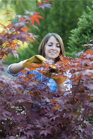 plantation united states - A woman in a tree nursery, pruning the leaves of an acer tree. Foto de stock - Sin royalties Premium, Código: 6118-07235139