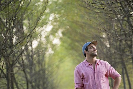 simsearch:6118-07235273,k - A man standing in an avenue of trees, looking upwards. Stockbilder - Premium RF Lizenzfrei, Bildnummer: 6118-07235274