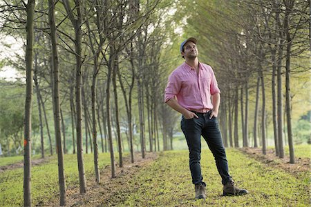 A man standing in an avenue of trees, looking upwards. Stock Photo - Premium Royalty-Free, Code: 6118-07235275