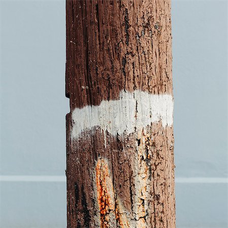 An old cracked and worn wooden telephone pole, with a white painted strip around it. Stock Photo - Premium Royalty-Free, Code: 6118-07351310