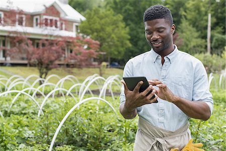 simsearch:6118-07351872,k - An organic horticultural nursery and farm outside Woodstock. A man using a digital tablet. Foto de stock - Royalty Free Premium, Número: 6118-07351519