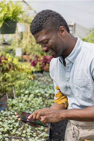 simsearch:6118-07203884,k - An organic horticultural nursery and farm outside Woodstock. A man using a digital tablet. Foto de stock - Sin royalties Premium, Código: 6118-07351527