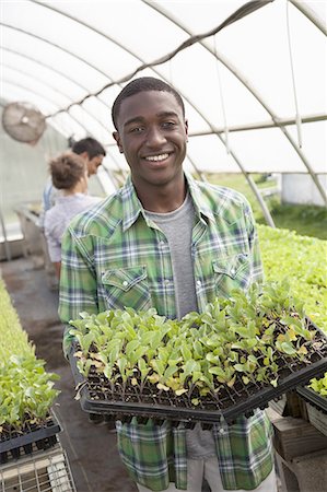 simsearch:6118-07351921,k - Two young men and a woman working in a large greenhouse, tending and sorting trays of seedlings. Foto de stock - Sin royalties Premium, Código: 6118-07351895