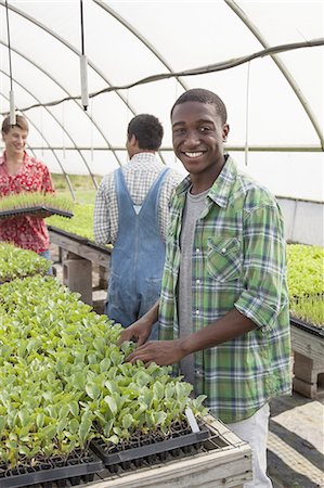 simsearch:6118-07351904,k - Three teenage boys working in a large greenhouse, tending and sorting trays of seedlings. Stock Photo - Premium Royalty-Free, Code: 6118-07351816