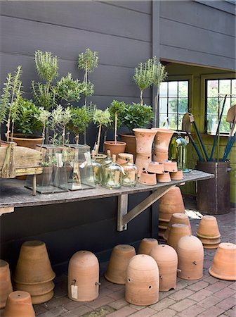 plante en pot - A group of clay pots with cuttings and seedlings for overwintering. Photographie de stock - Premium Libres de Droits, Code: 6118-07351966
