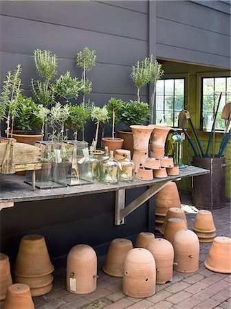 potted plant - A group of clay pots with cuttings and seedlings for overwintering. Stock Photo - Premium Royalty-Free, Code: 6118-07351966