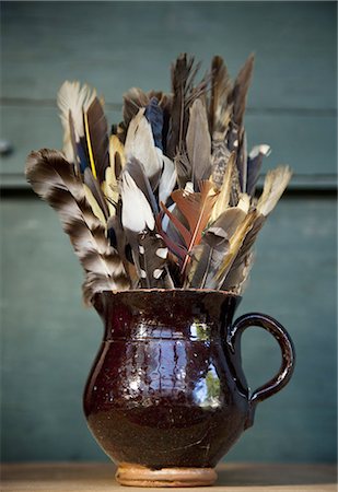 simsearch:6118-07354271,k - A collection of bird feathers in a brown pottery jug on a shelf. Stock Photo - Premium Royalty-Free, Code: 6118-07351974